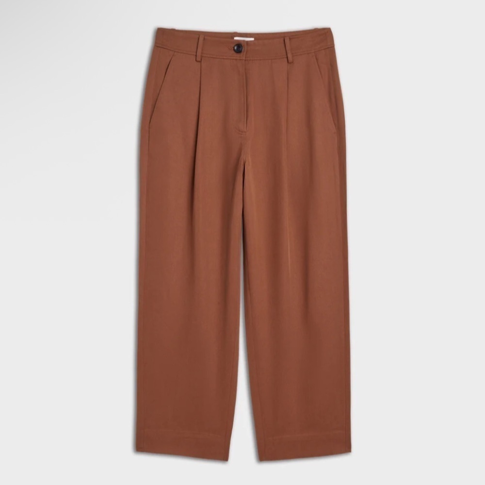 The Reset Eco Slouchy Trouser Pleat Front Tencel Lyocell Pant Cedar Brown Medium